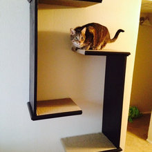 Kitty Stuff