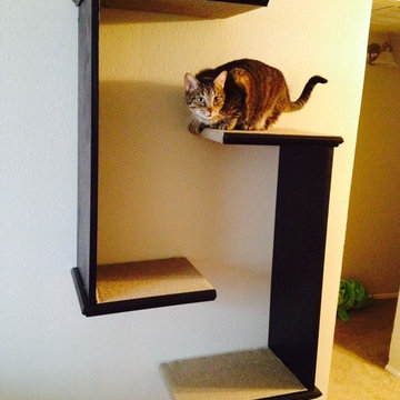 Cat Tree Shelves