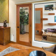 Cat Rooms