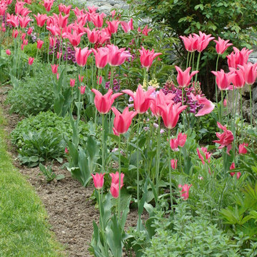 Perennial Gardens