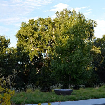 Los Altos Landscape Garden Design