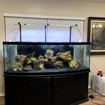 Aquarium Maintnace