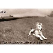 Shay Christensen's photo