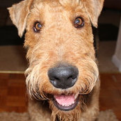 Heather Harris Rickman's photo