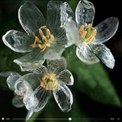 Bogda Gil's photo