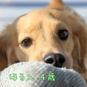 Sumire Hori's photo