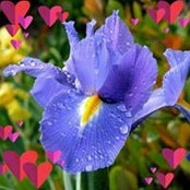 Leslie Matthews's photo
