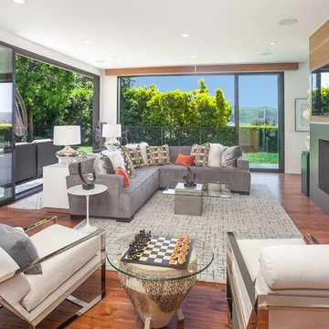 Contemporary New Construction