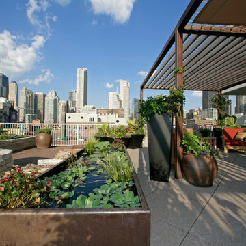 Rooftop Oasis in River North