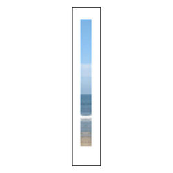 SIDE LITE:1 LITE WHITE PRIMED CLEAR TEMPERED GLASS - Windows And Doors
