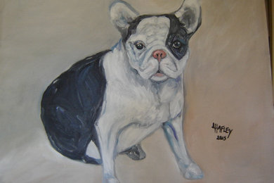 Frenchie  oil on canvas 20 x 24