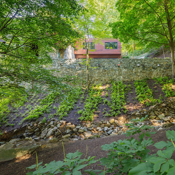 Virginia Contemporary