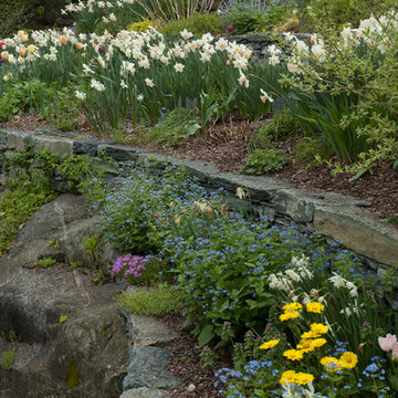 Hillside Garden--A hidden gem