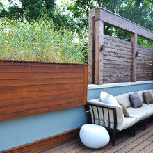 Landscape Ideas