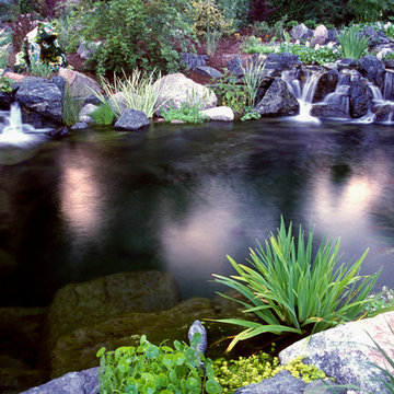 Natural Swim Pools, adding natural clarity and beauty into your backyard