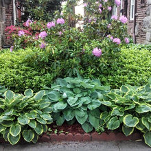 Gardening in Small Spaces