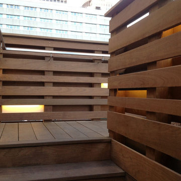 Luxury Tribeca Penthouse Rooftop, NYC