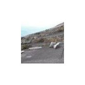 Zann Choo's photo