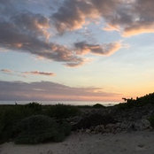 Kimberly Vaughn Lovelle's photo