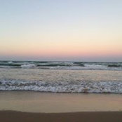 Deborah Dray's photo