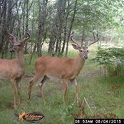 Dann Brower's photo
