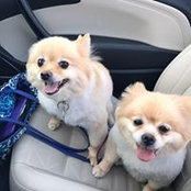 Susanne Carpenter's photo