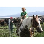 Stephanie Twitchell Telford's photo