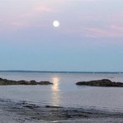 Ann Dempewolf's photo
