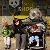 Van Hoang's photo