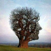 Photo de Steve Beaulieu