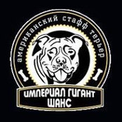 Foto von Христина Степаненко