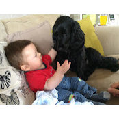 Katy Foster's photo
