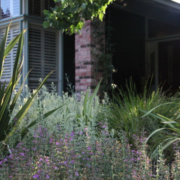 Sunnyvale Front Yard Renovation