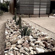 Landscape Ideas