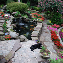 Ponds