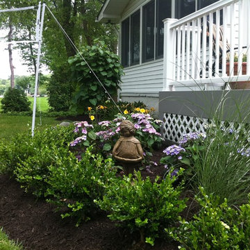 Summer Blooms
