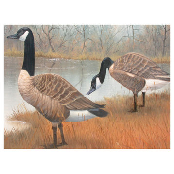 Rose Gehrman Canada Geese Art Print, 9"x12"