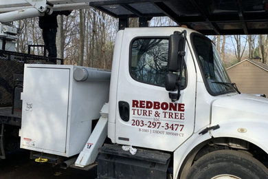 Cheshire, CT | Best Stump Removal Contractor | Stump Grinding