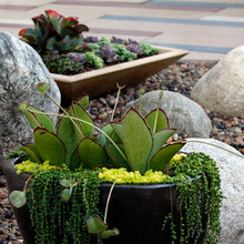 Landscape Ideas