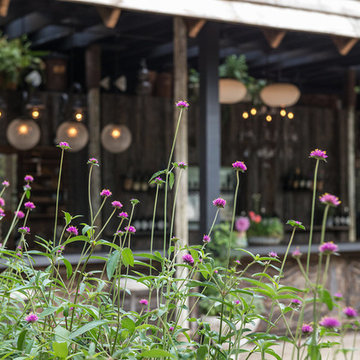 2016 South Street Pop Up Garden - Pennsylvania Horticultural Society