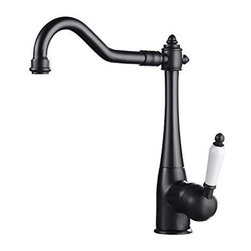 Biscay Kitchen Sink Faucet - Kitchen Faucets