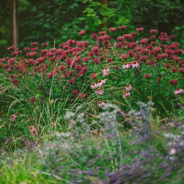 Audubon Certified Backyard Habitat