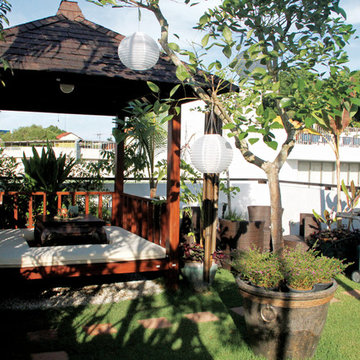 Portfolio 26 (Intermediate Terrace/Tropical)