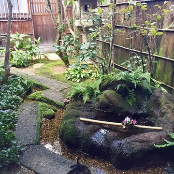 Ideas for a Japanese style garden