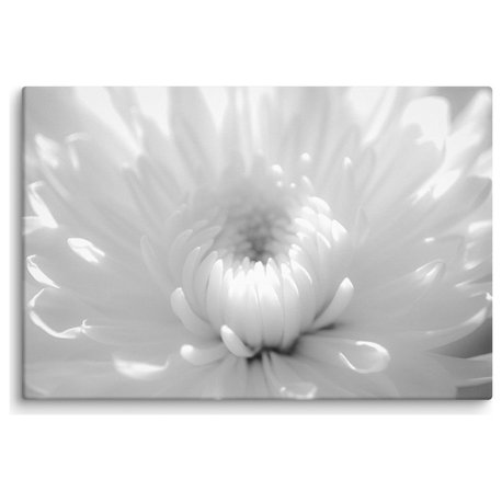 Infrared Flower 2 Floral Nature Photography Canvas Wall Art Print, 24" X 36"