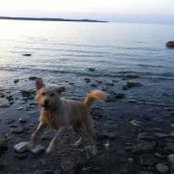 Kate Spinelli's photo