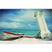 Mohammad Abu-Rub's photo
