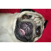 Crosby Campbell's photo