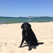 Foto von Linda Comai