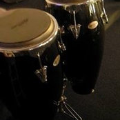 Timothy Romei's photo